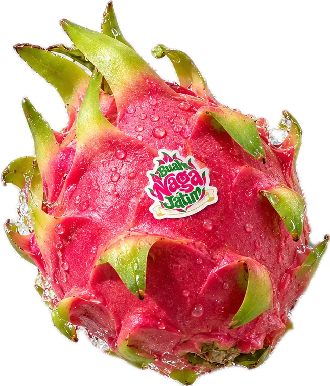 Buah Naga Putih utuh