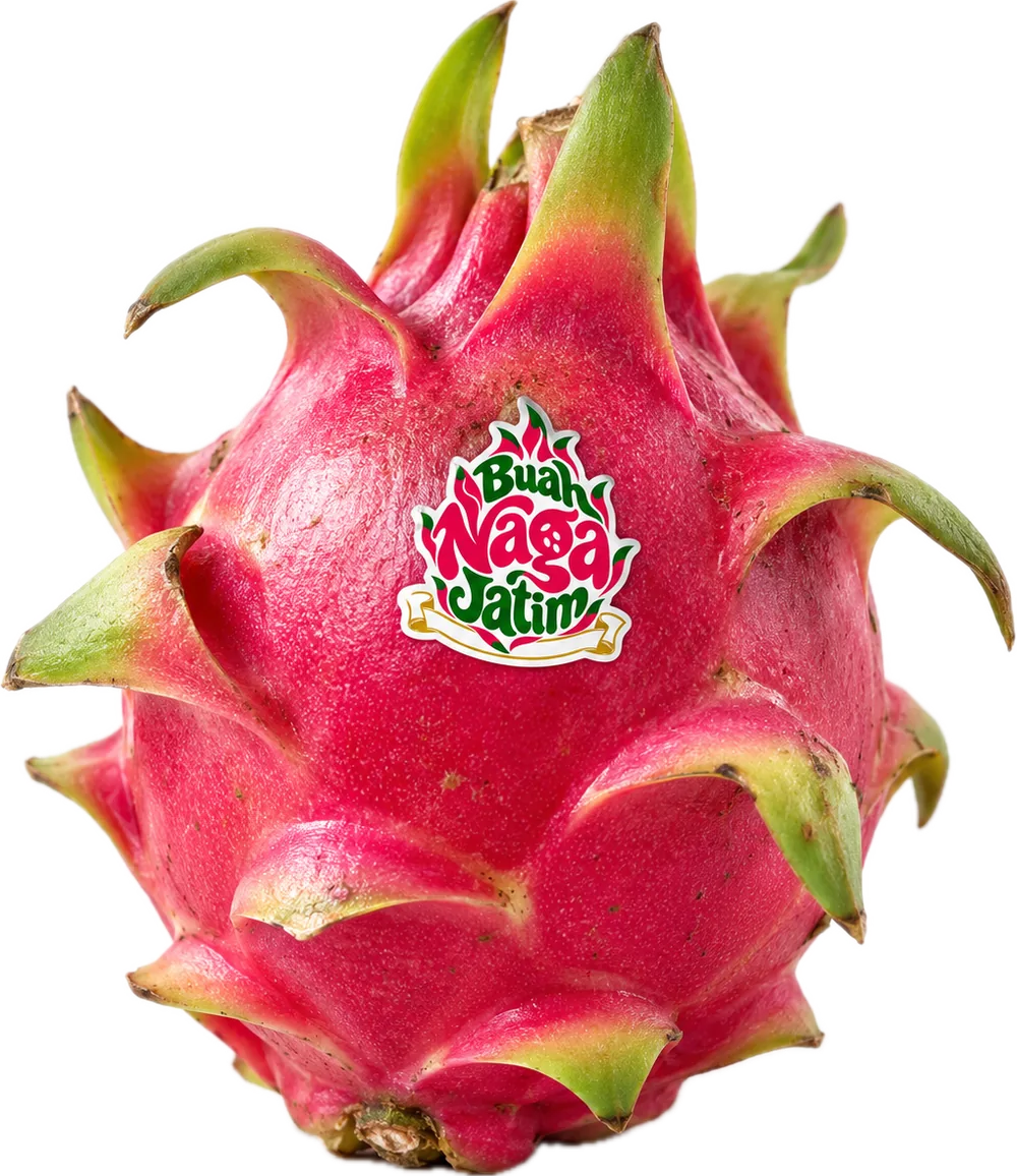 Buah Naga Super Merah utuh