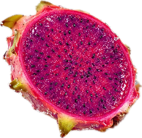Potongan Buah Naga Ungu