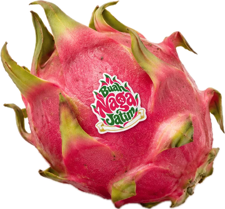 Buah Naga Ungu utuh