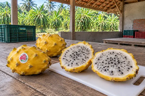 Buah Naga Kuning utuh dan dibelah di atas talenan