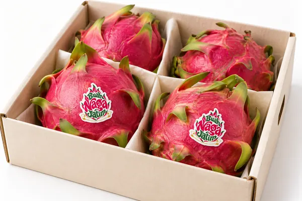 Empat buah naga dengan stiker dalam Gift Box bersekat