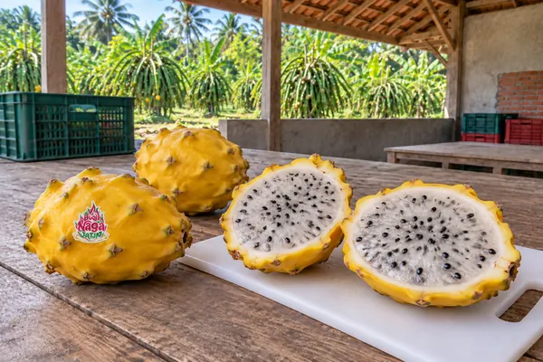 Buah naga kuning utuh dan dibelah