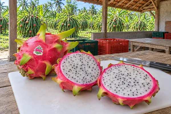Buah naga putih dibelah di atas talenan
