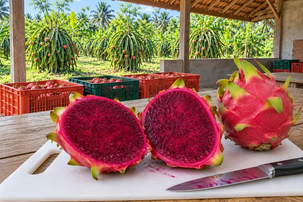 Buah naga dibelah dua di atas talenan